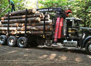log trucking, trucking, logs, southern New Hampshire, New Hampshire, NH, Southern Vermont, Southern VT, VT,  certified trucker, Russell Logging, W. E. Russell Logging
